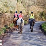 Don't horse about