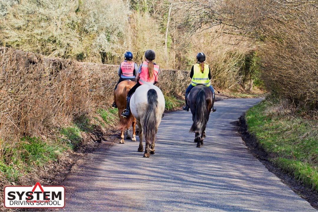 Don't horse about Don't horse about